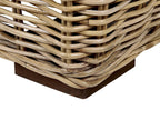 Chaise longue avec coussin en rotin naturel